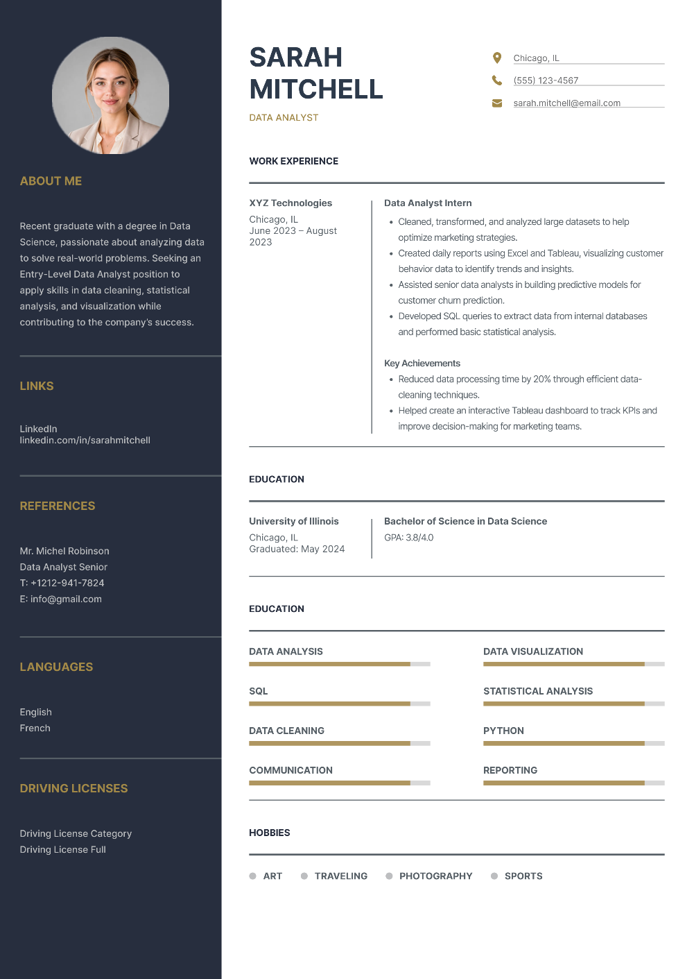 Data Analyst CV template preview