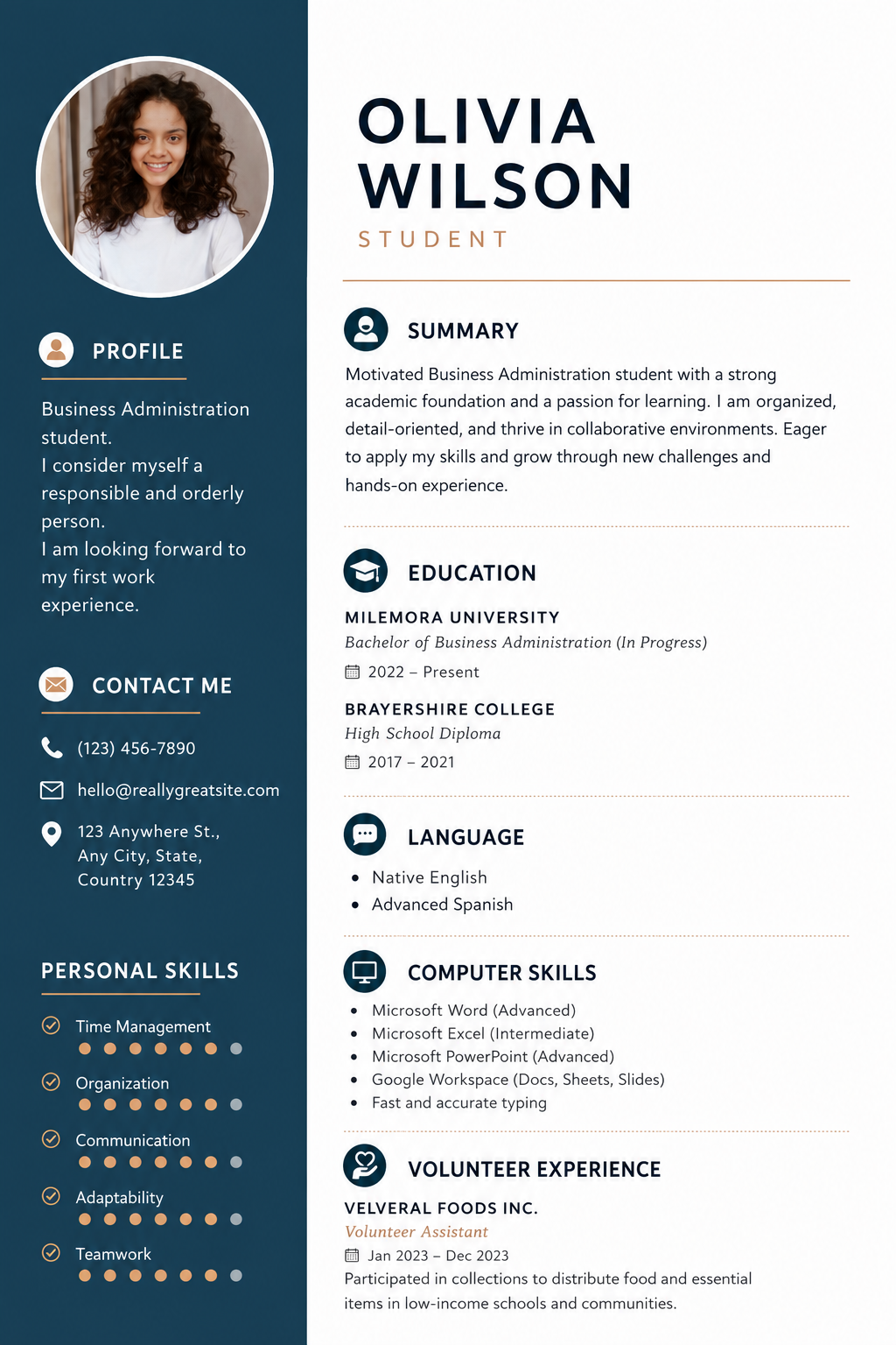 Alternate writers resume format with navy sidebar, profile summary, skills checklist, and education focus